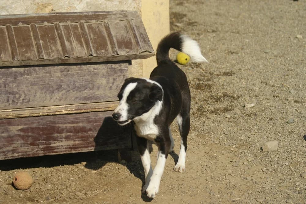 ❤️Medina❤️ photo 7