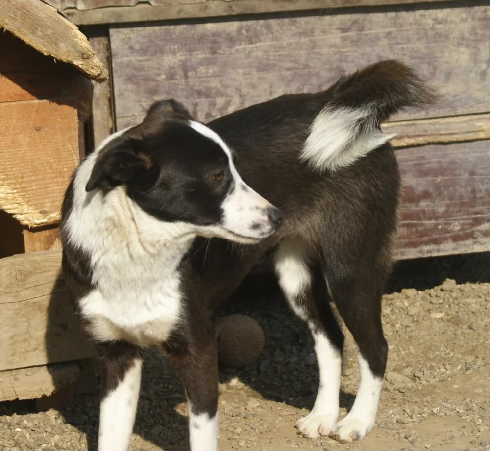 ❤️Medina❤️ photo 8