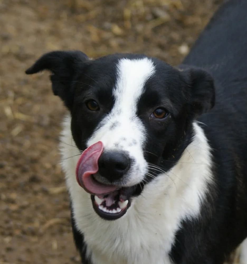 ❤️Medina❤️ photo 2