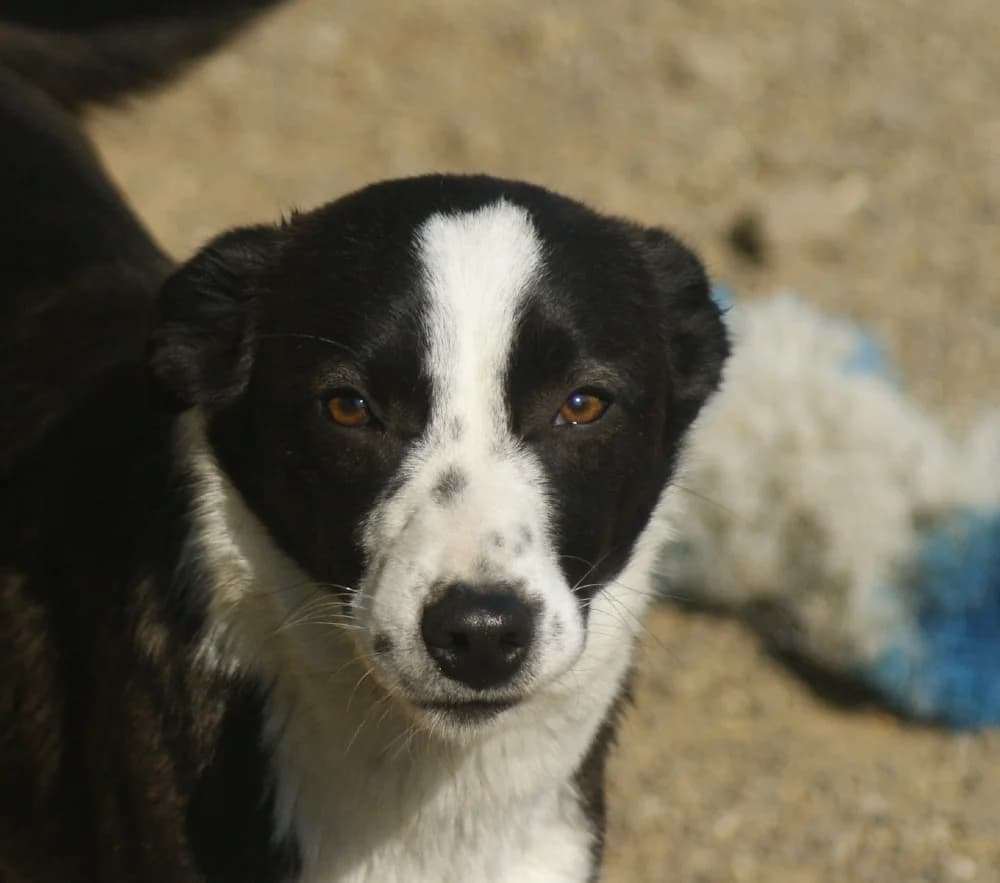 ❤️Medina❤️ photo 3