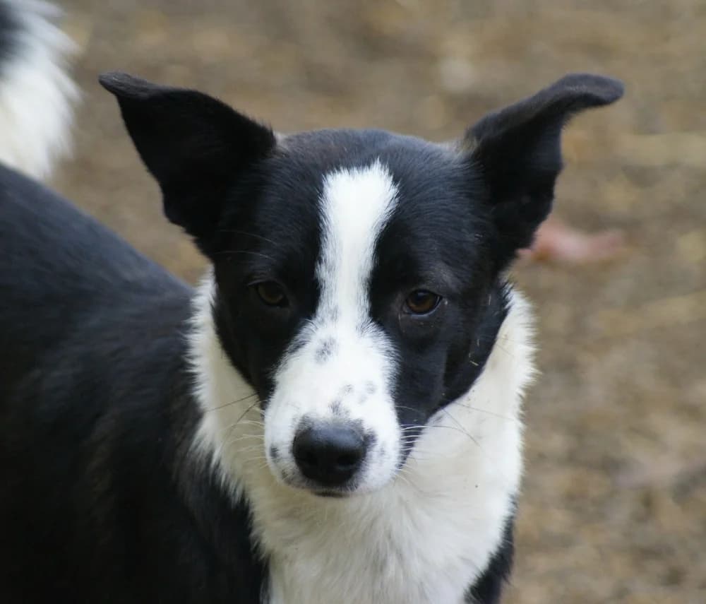 ❤️Medina❤️ photo 4