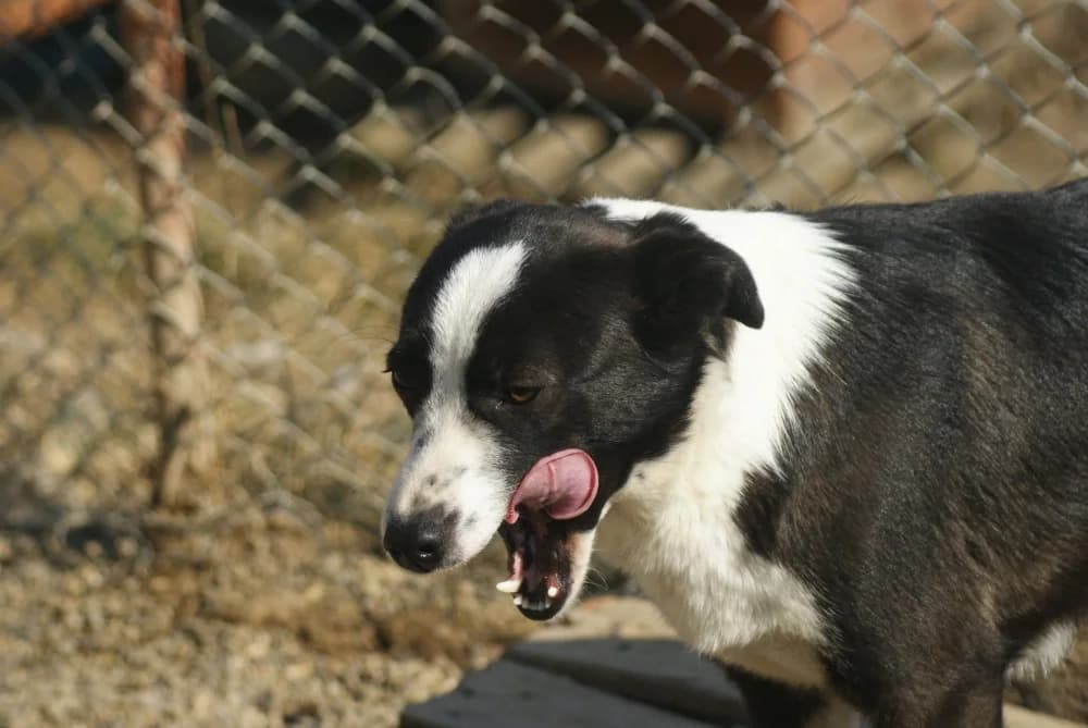 ❤️Medina❤️ photo 5