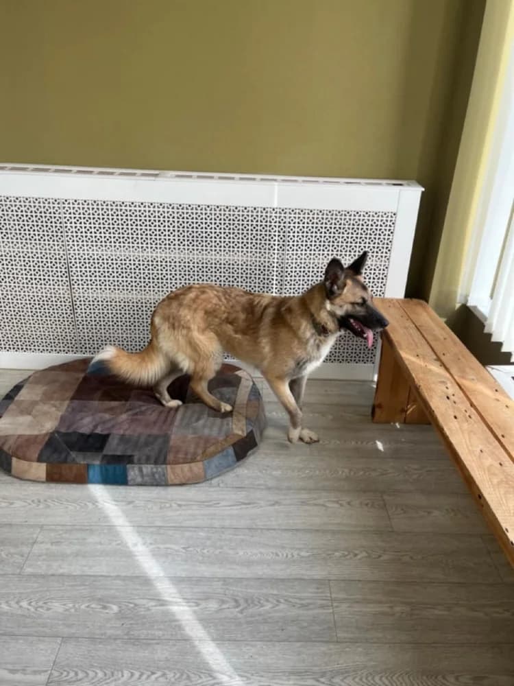 Melissa lief en mooi! photo 5