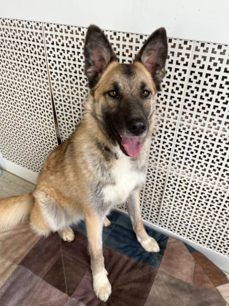 Melissa lief en mooi!