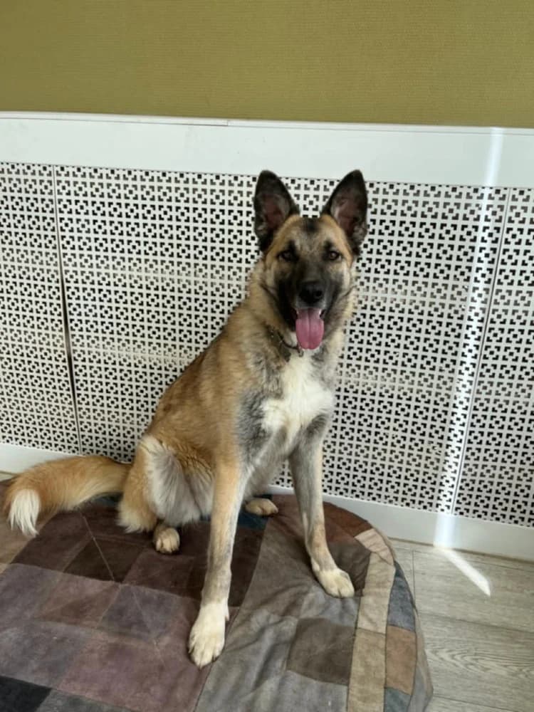 Melissa lief en mooi! photo 2