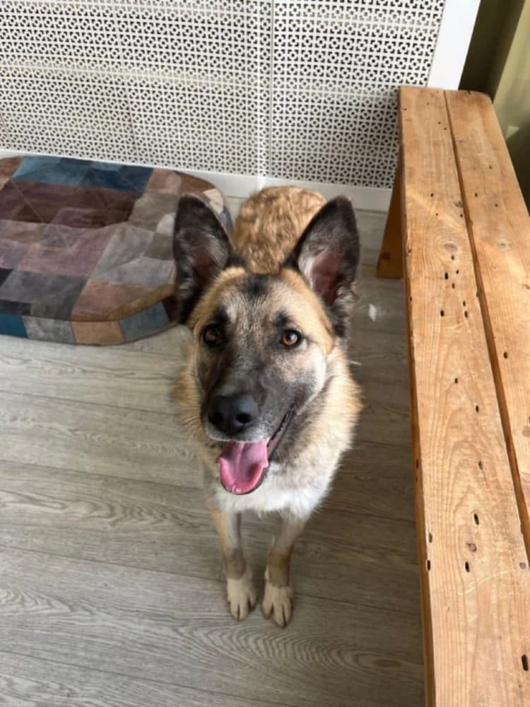 Melissa lief en mooi! photo 4