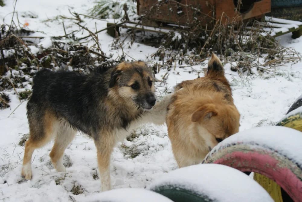 ❤️Miro❤️ photo 6