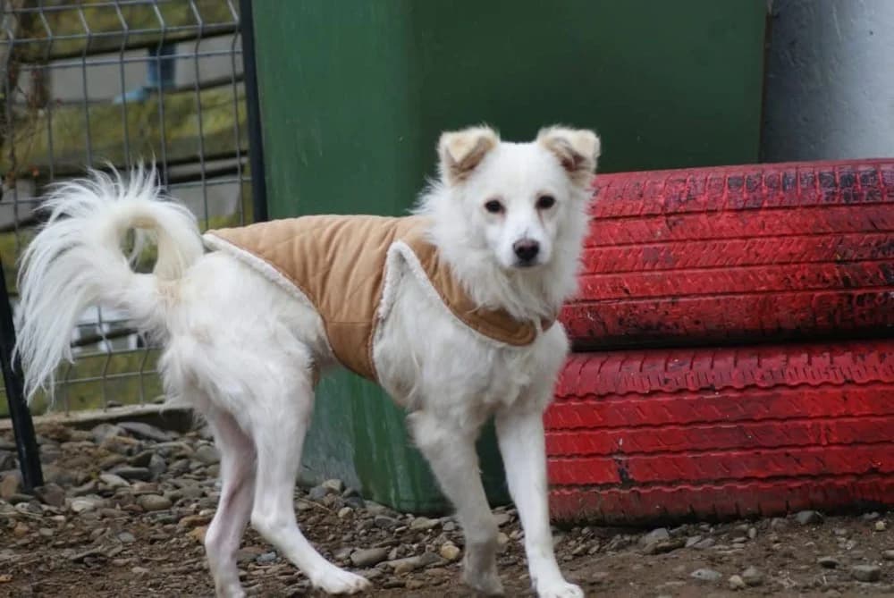 ❤️Murphy❤️ photo 6