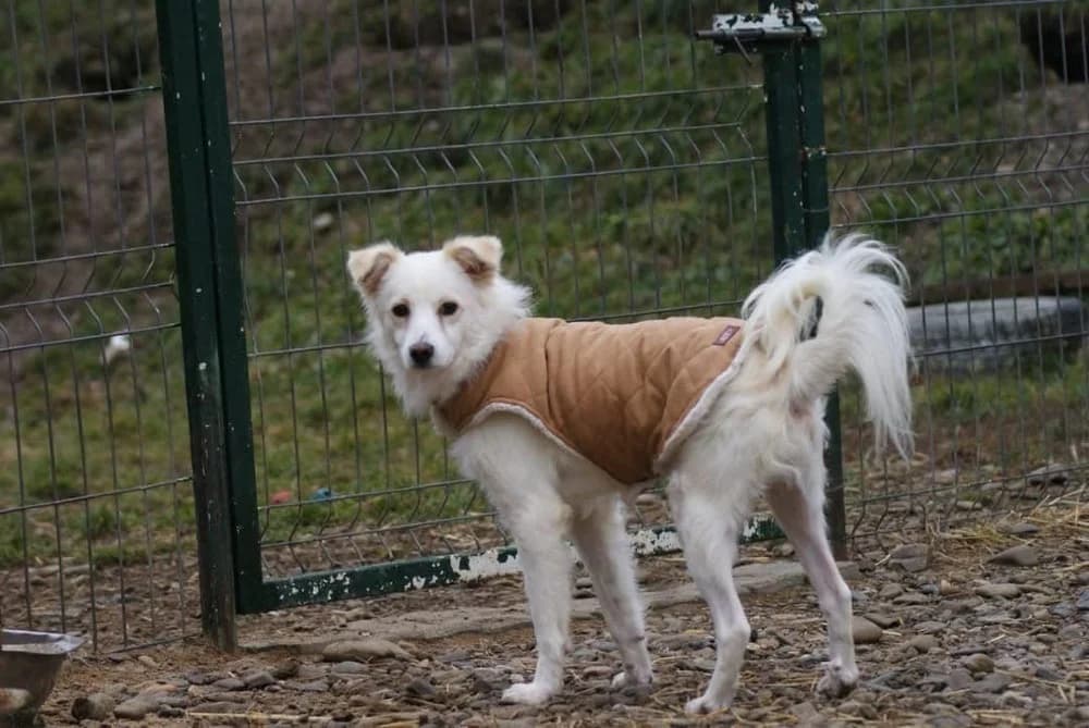 ❤️Murphy❤️ photo 8