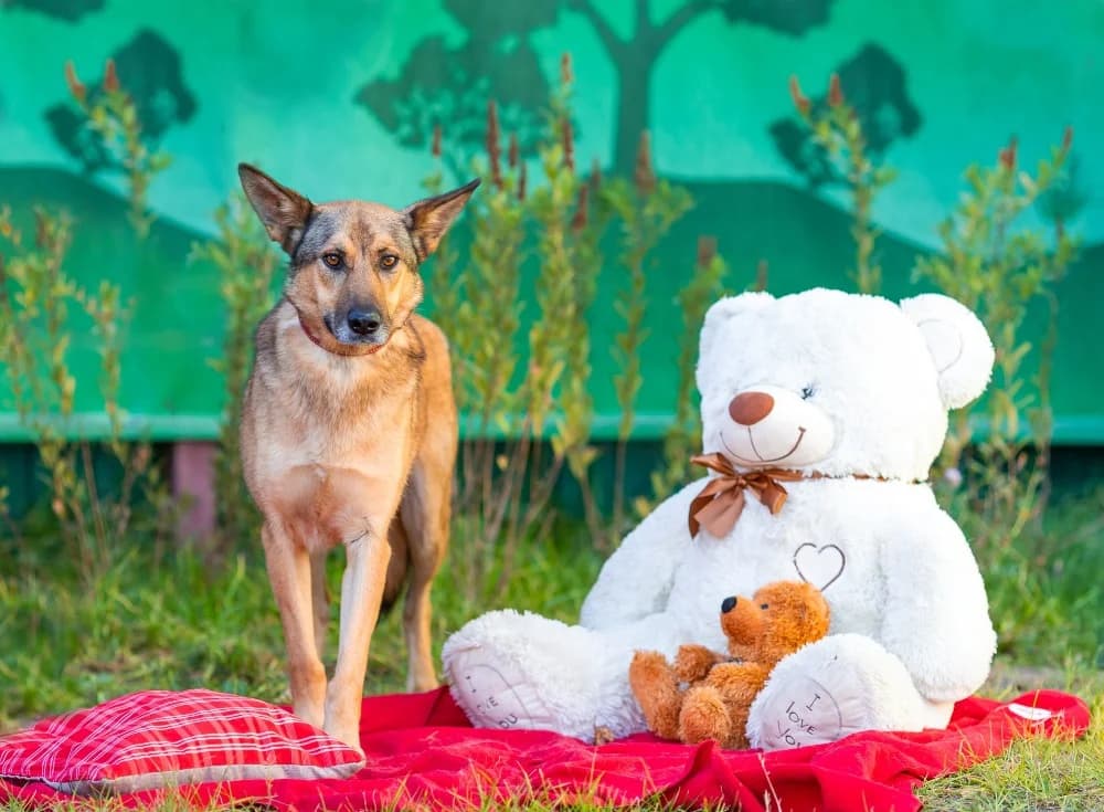 Naiti vrolijke roodharige photo 5