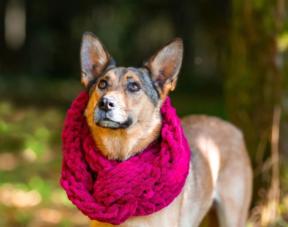 Naiti vrolijke roodharige photo 2