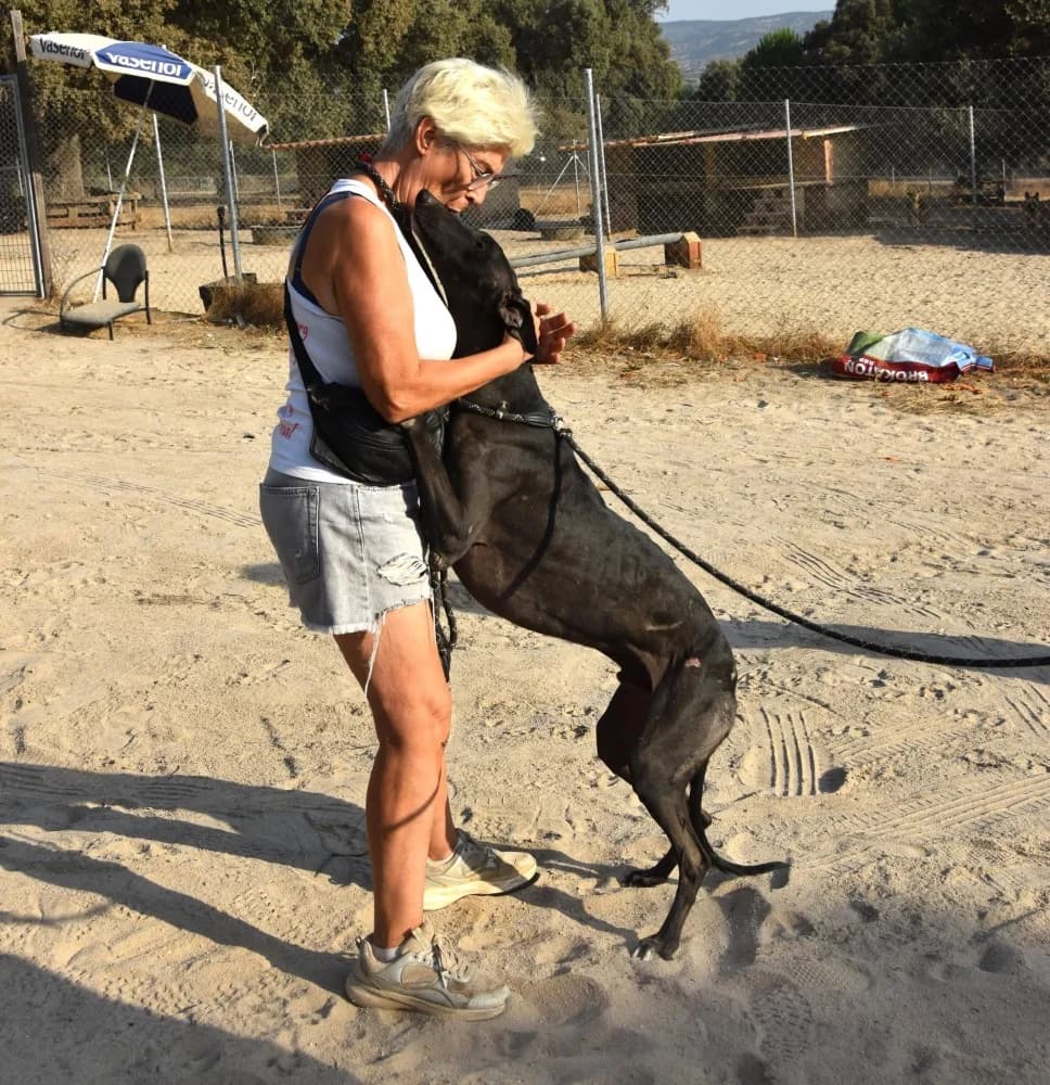 Nano de Barcience DC photo 4