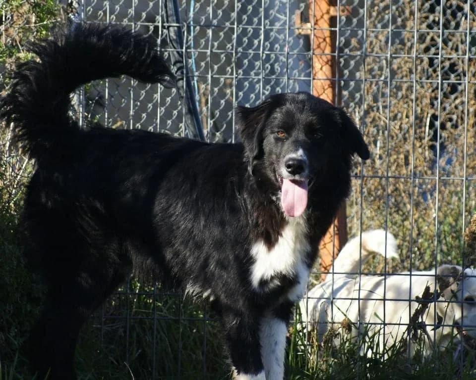 ❤️Nick❤️ photo 5