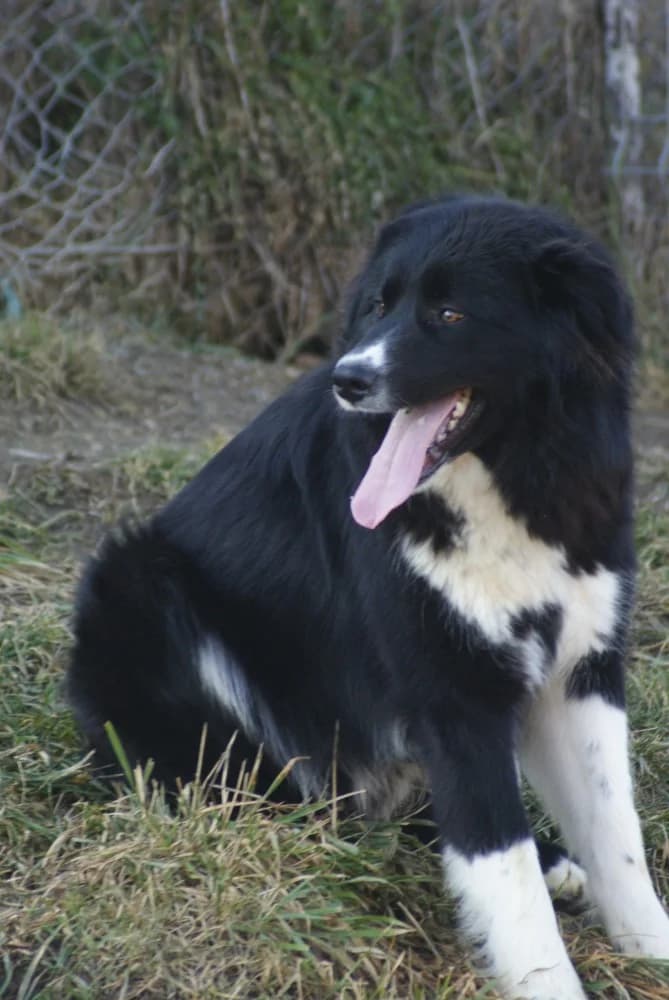 ❤️Nick❤️ photo 6