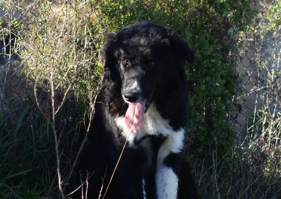 ❤️Nick❤️ photo 7