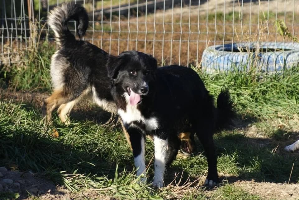 ❤️Nick❤️ photo 8