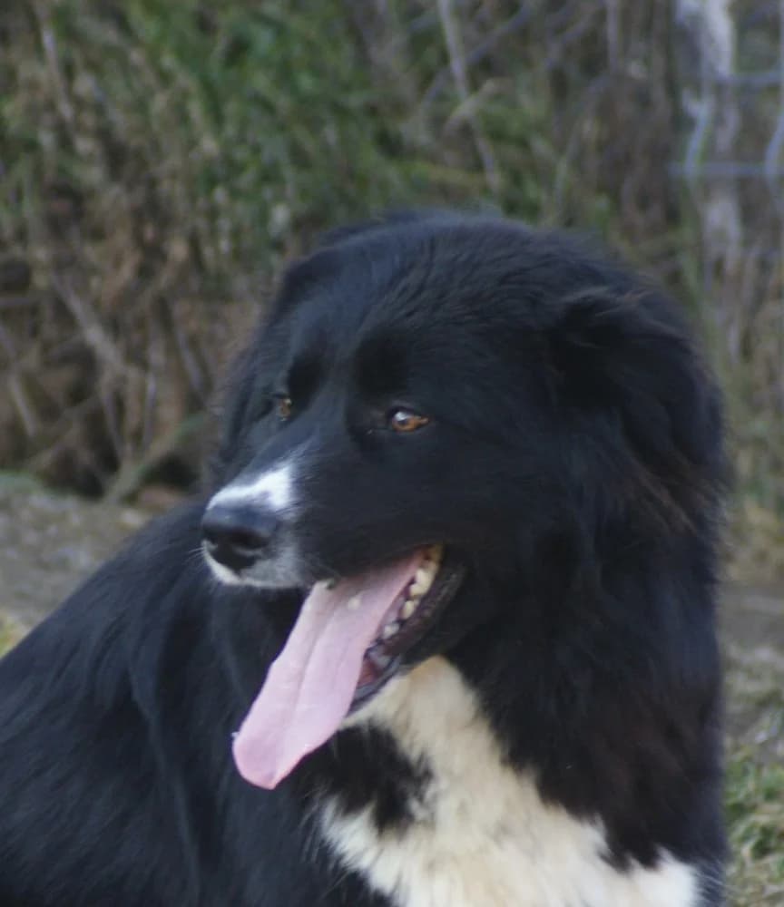 ❤️Nick❤️ photo 2