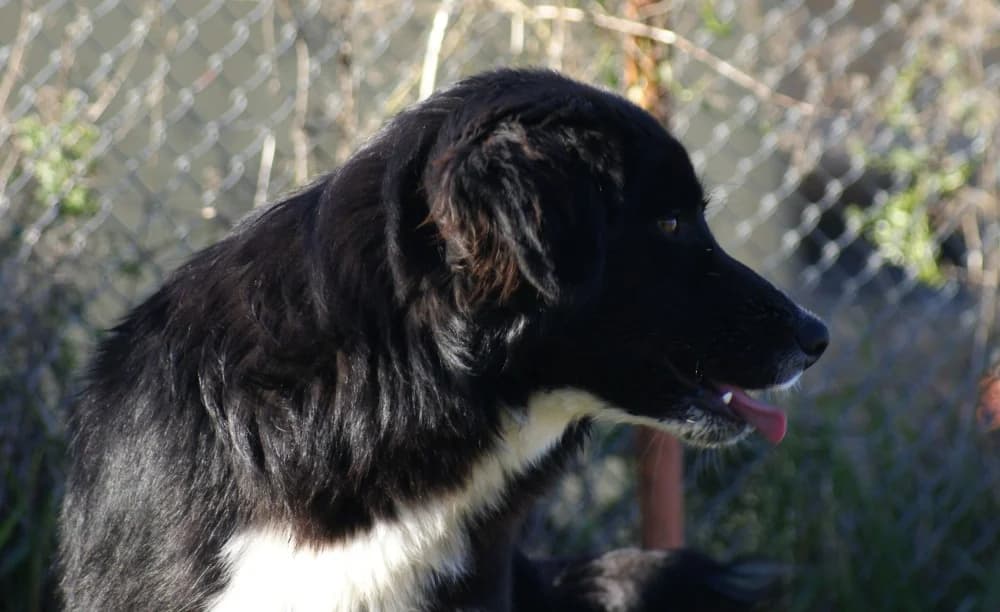 ❤️Nick❤️ photo 3