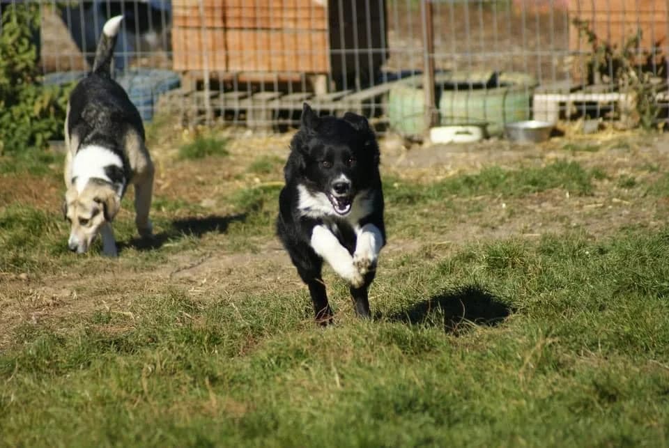 ❤️Nick❤️ photo 4