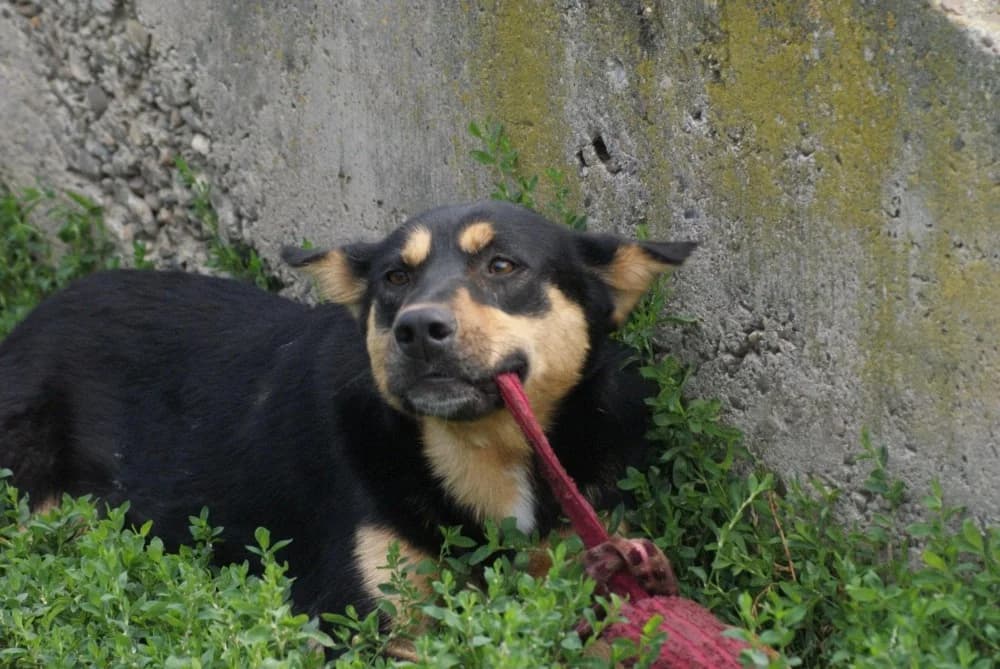 ❤️Novan❤️ photo 5