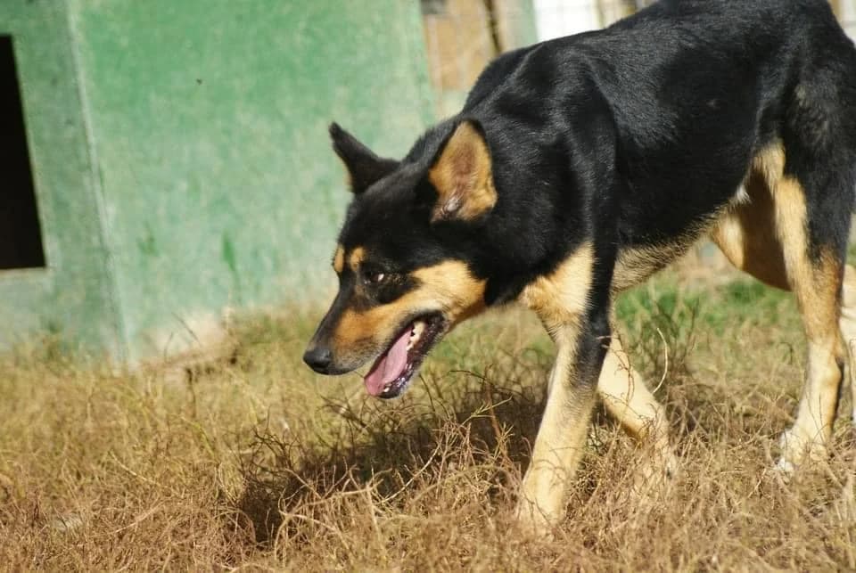 ❤️Novan❤️ photo 6