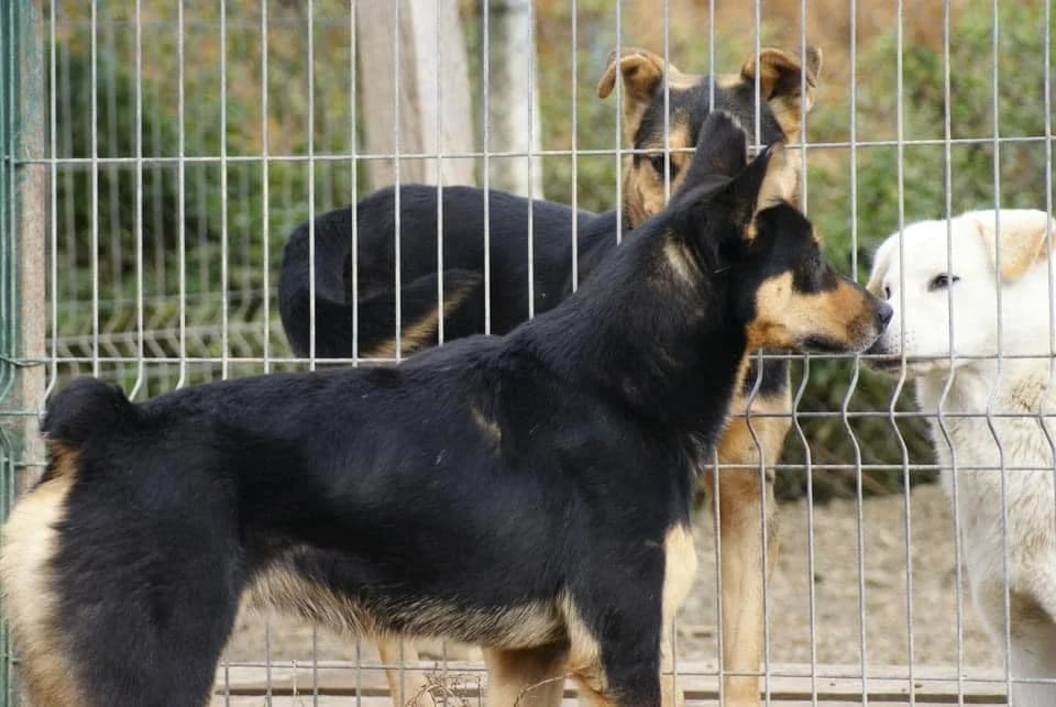 ❤️Novan❤️ photo 7