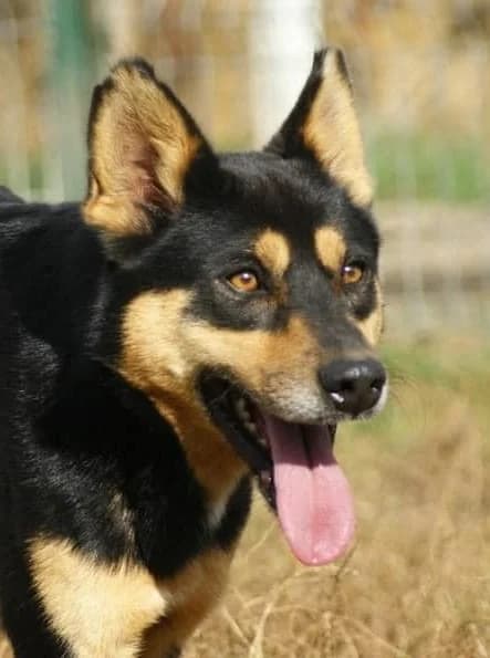 ❤️Novan❤️ photo 2