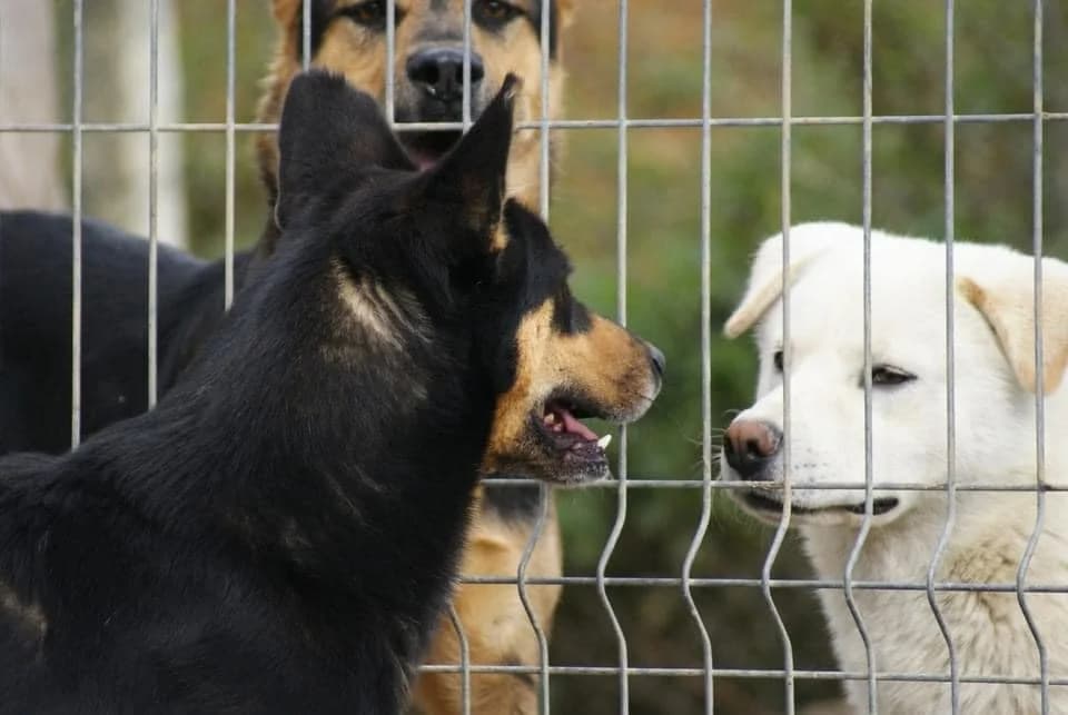 ❤️Novan❤️ photo 3