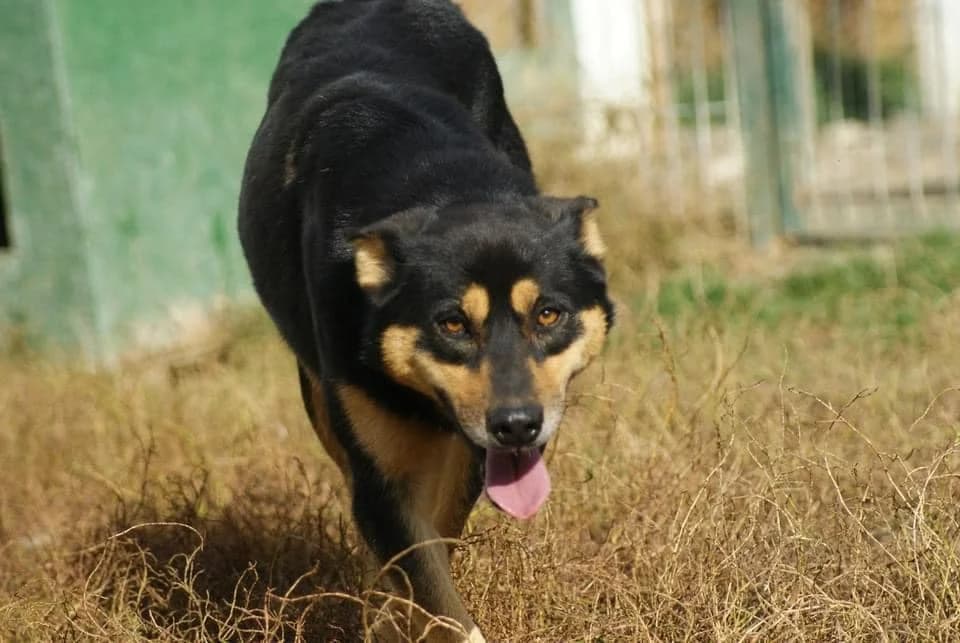 ❤️Novan❤️ photo 4