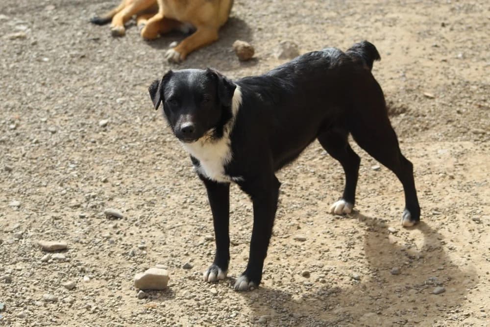 ❤️Nuti❤️ photo 5