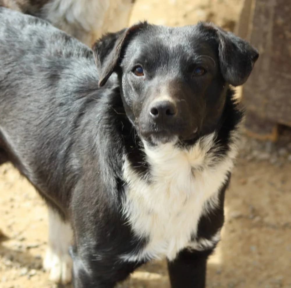 ❤️Nuti❤️ photo 6