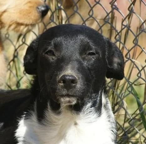 ❤️Nuti❤️ photo 7