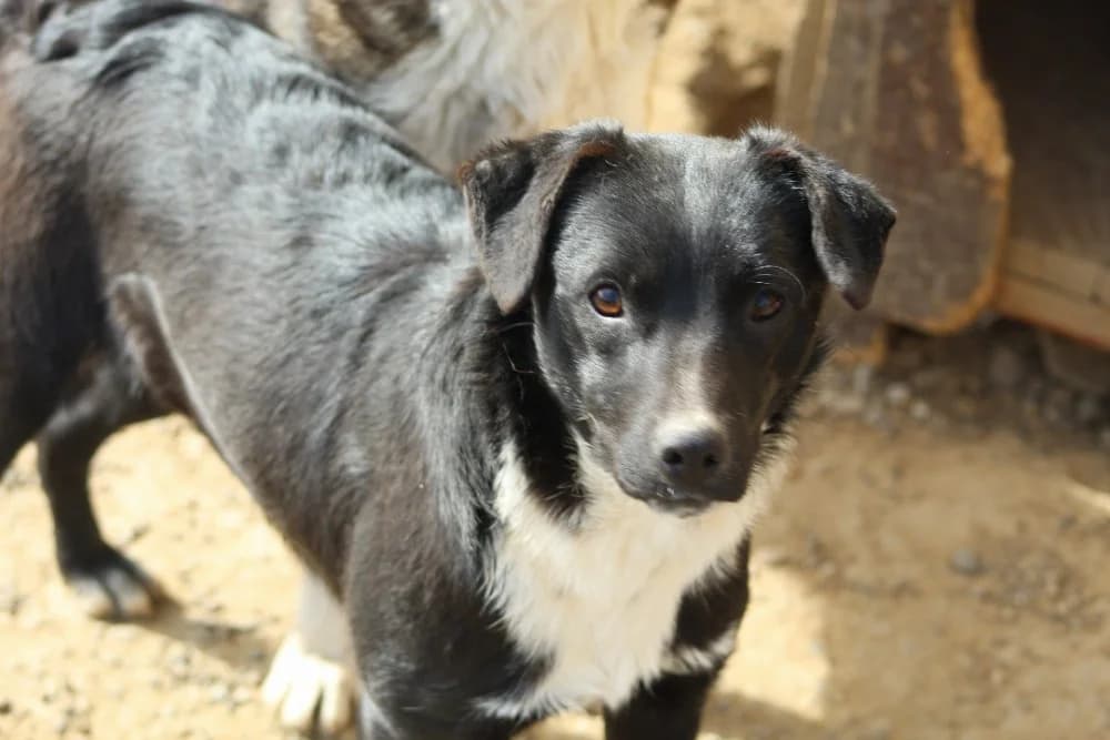 ❤️Nuti❤️ photo 8