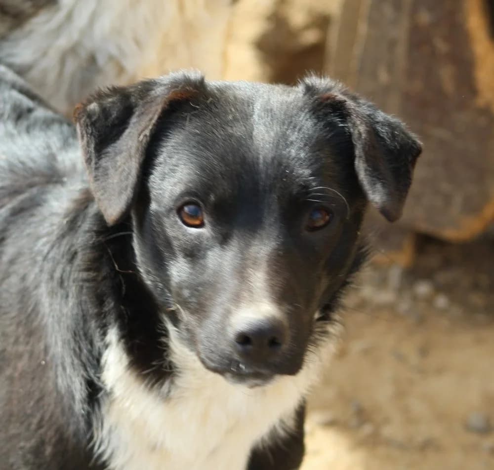 ❤️Nuti❤️ photo 2