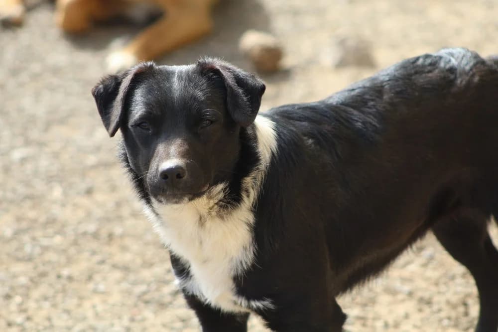 ❤️Nuti❤️ photo 3