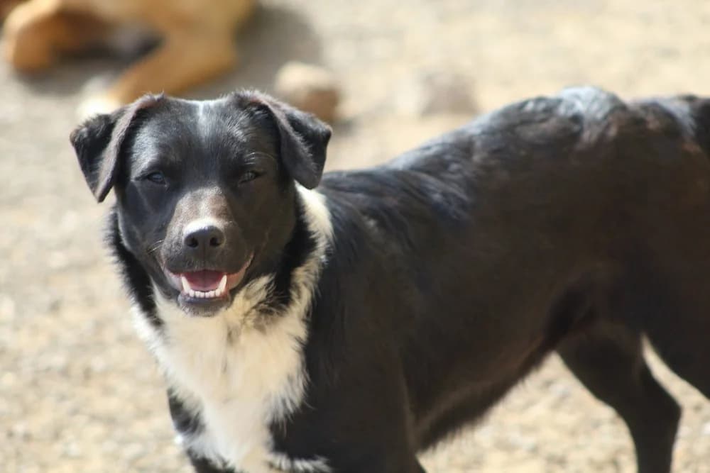 ❤️Nuti❤️ photo 4