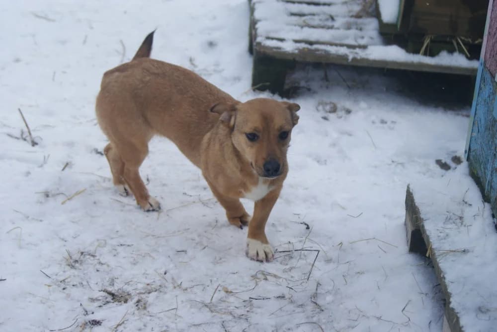 ❤️Odette❤️ photo 5