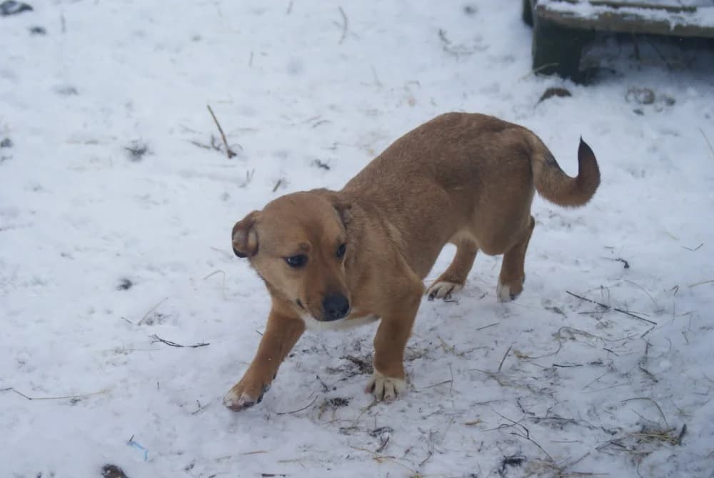 ❤️Odette❤️ photo 6