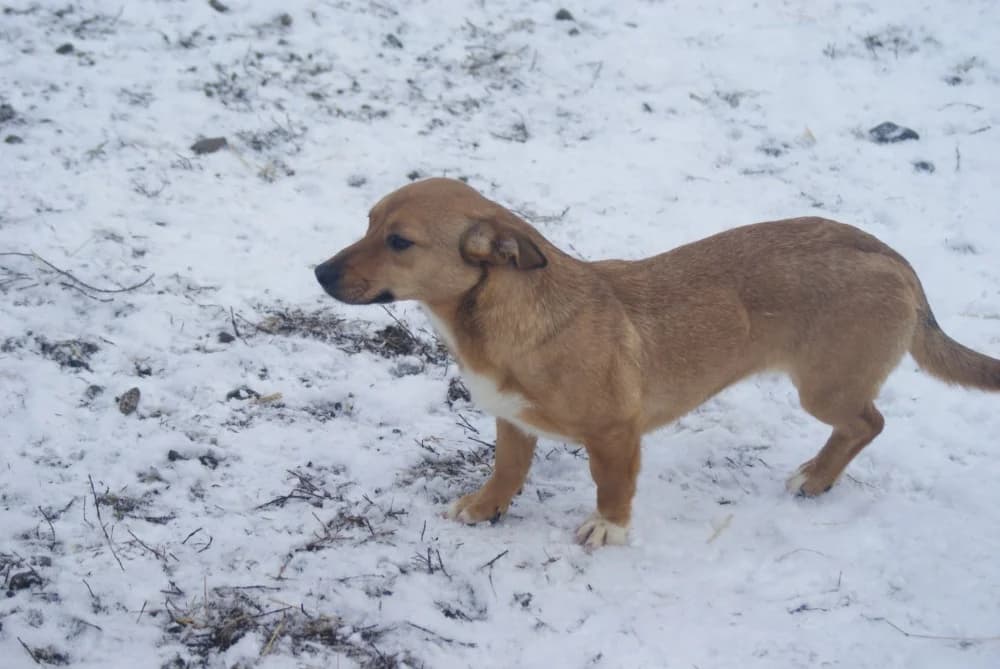 ❤️Odette❤️ photo 7