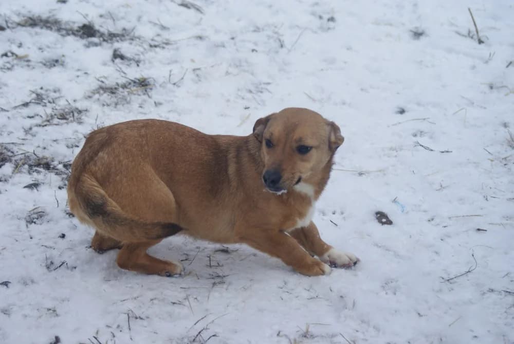 ❤️Odette❤️ photo 8