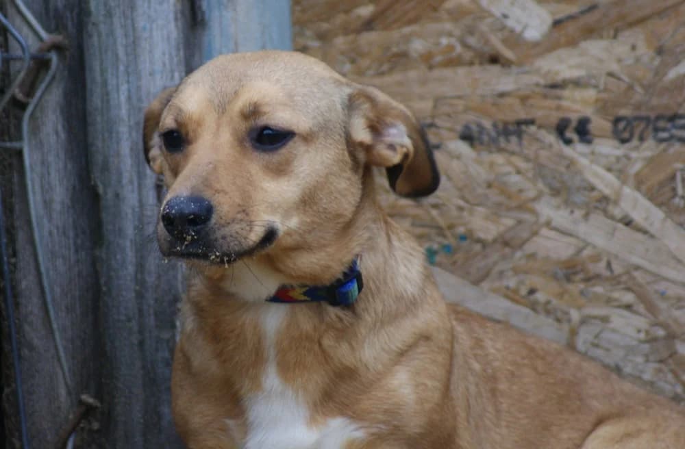 ❤️Odette❤️ photo 2