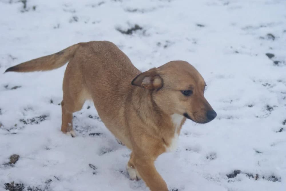 ❤️Odette❤️ photo 3