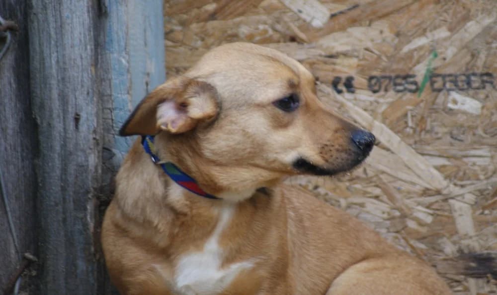 ❤️Odette❤️ photo 4