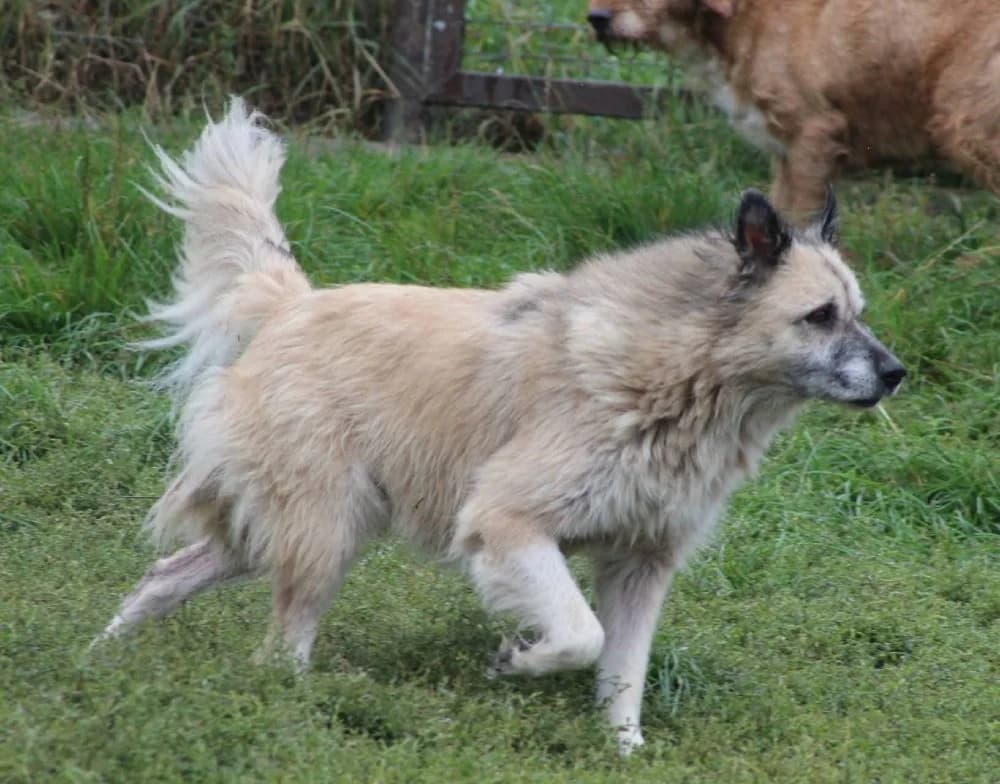 ❤️Peggy❤️ photo 7