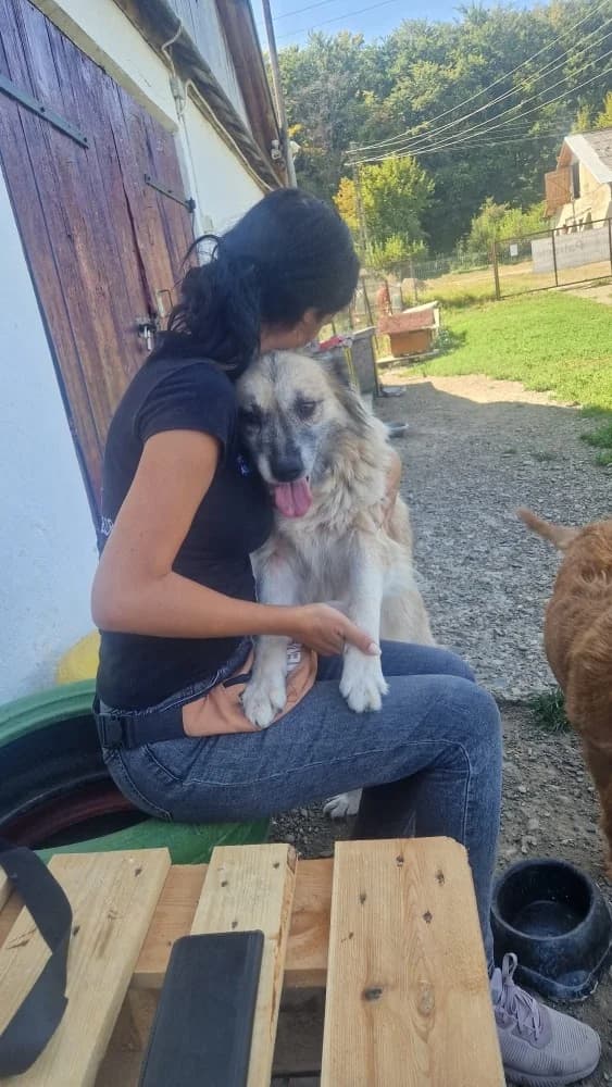 ❤️Peggy❤️ photo 4