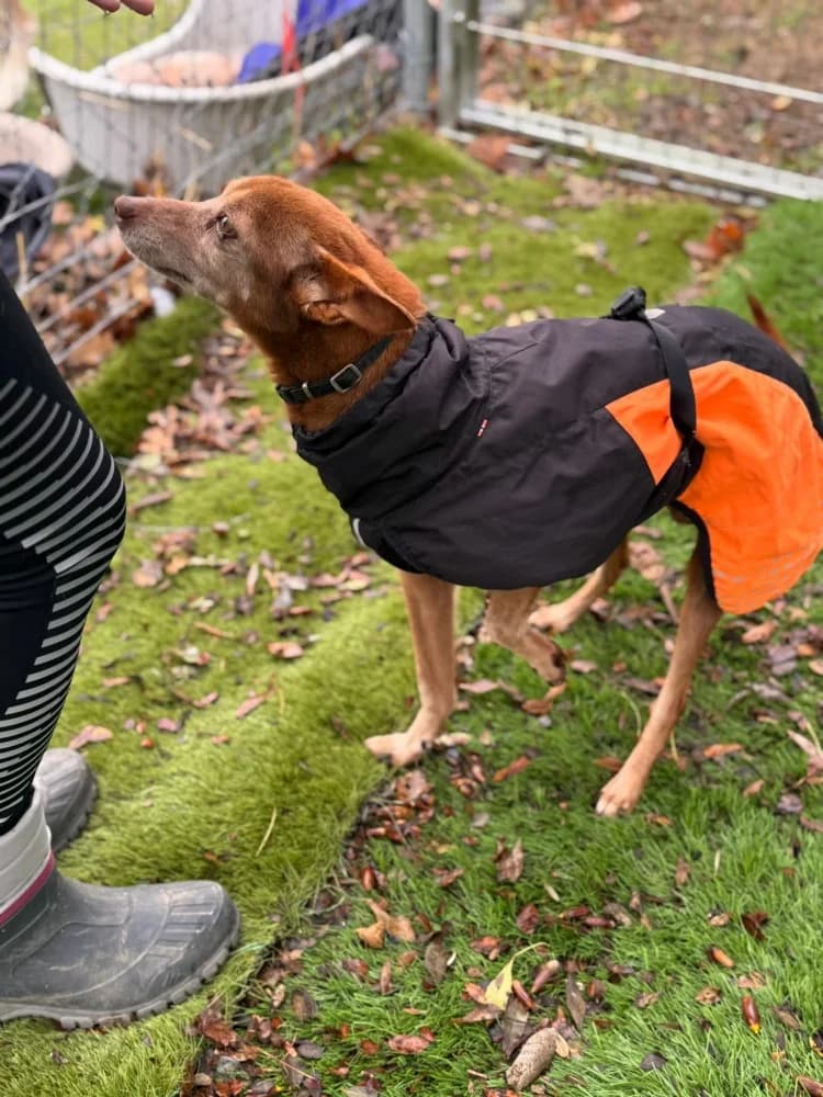 pepa BR senior photo 2