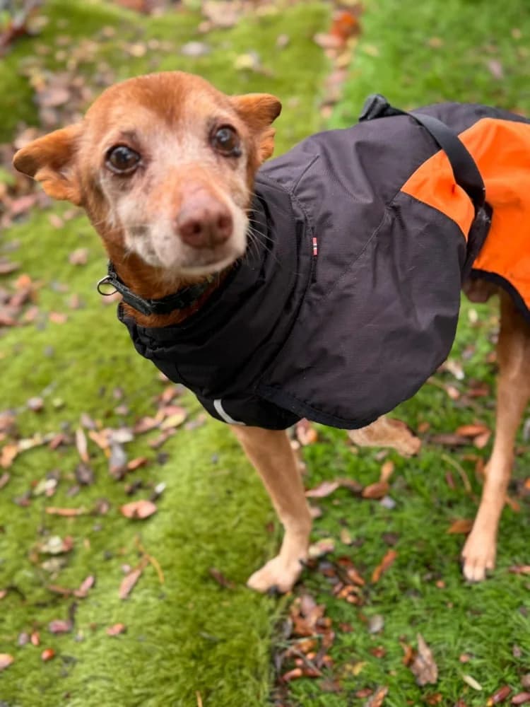 pepa BR senior photo 3