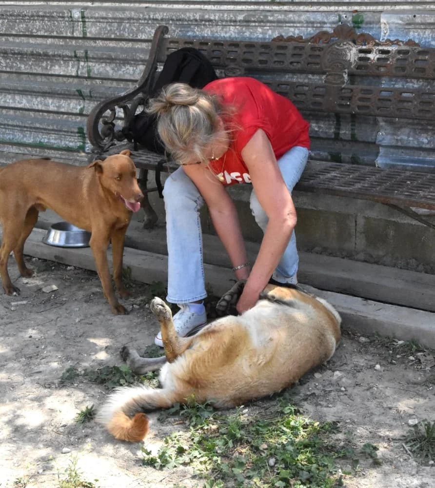 Pili RP senior photo 5