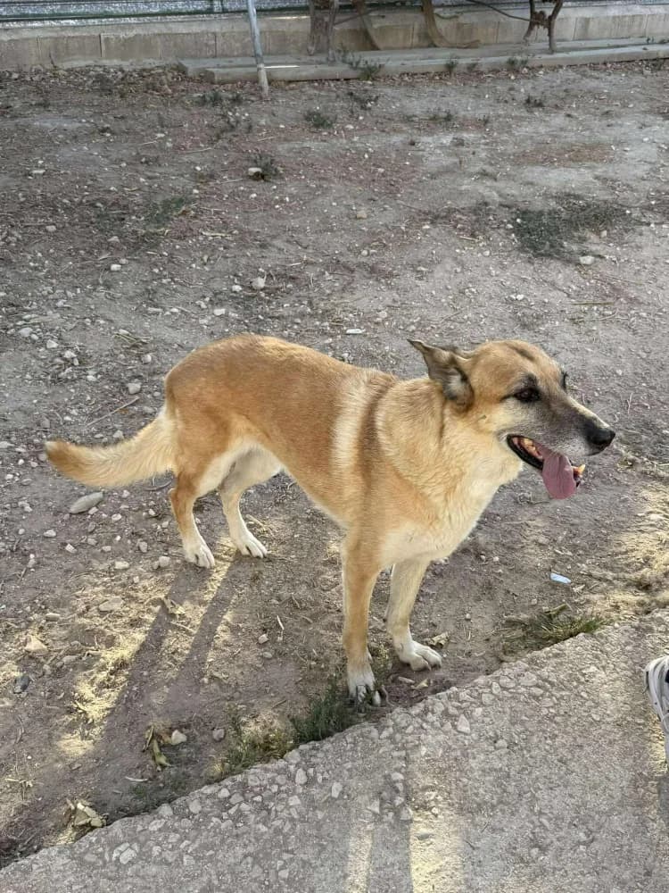 Pili RP senior photo 2