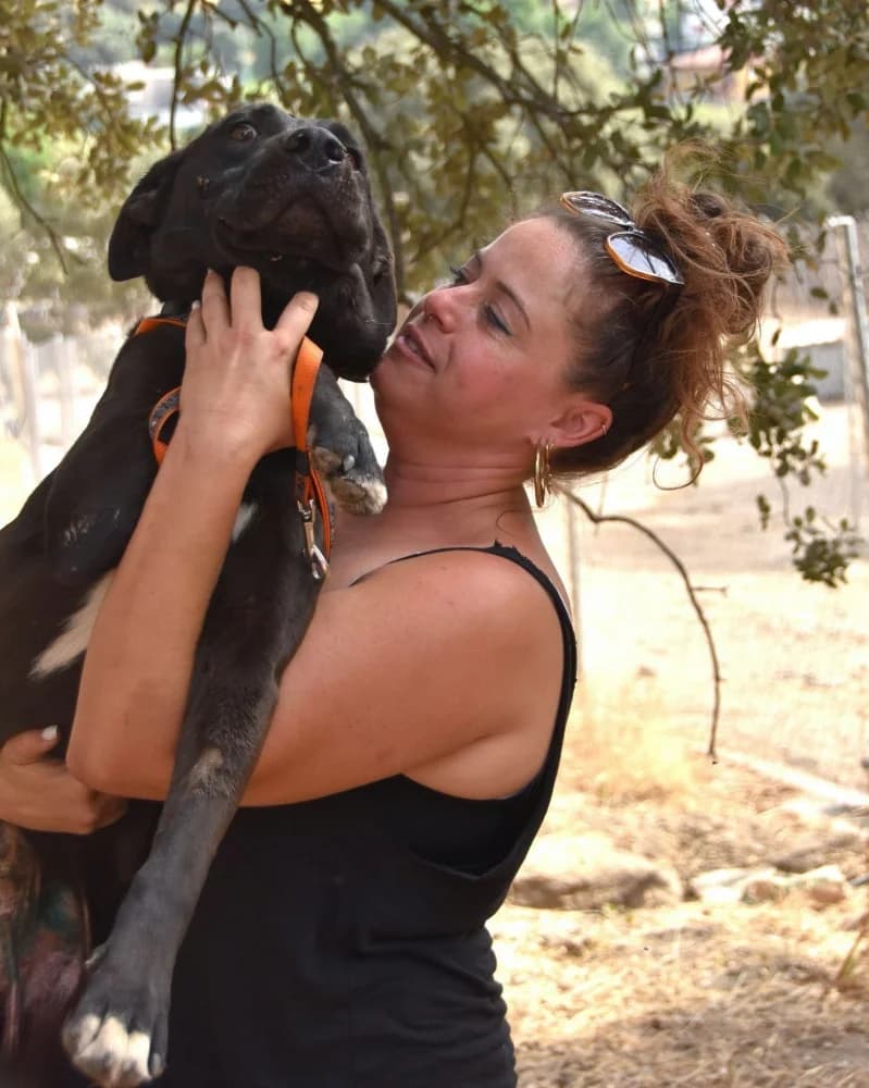 Polvorilla DC photo 3